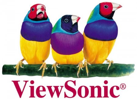    ViewSonic   V901
