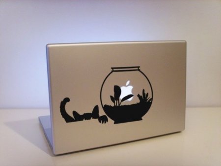   MacBook (30 )