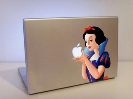   MacBook (30 )