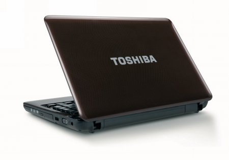 Toshiba Satellite C600  L600 -    (19 )