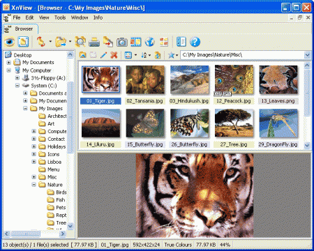 XnView - бесплатная программа для работы с графическими файлами.
